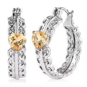 NWOT EverTrue Brazilian Citrine 3.35 ctw Hoop Earrings in Stainless Steel